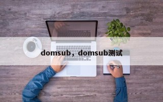 domsub，domsub测试