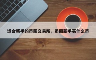 适合新手的币圈交易所，币圈新手买什么币