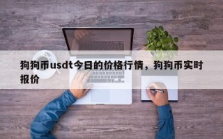 狗狗币usdt今日的价格行情，狗狗币实时报价