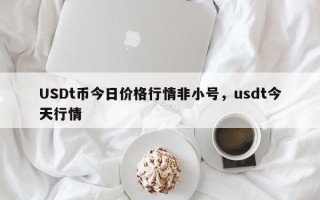 USDt币今日价格行情非小号，usdt今天行情