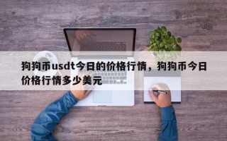 狗狗币usdt今日的价格行情，狗狗币今日价格行情多少美元