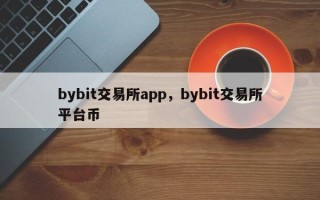 bybit交易所app，bybit交易所平台币