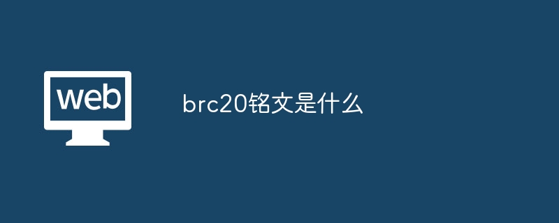 brc20铭文是什么-第1张图片-易算准