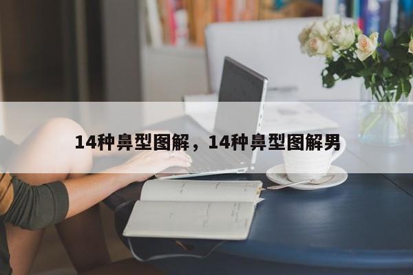 14种鼻型图解，14种鼻型图解男-第1张图片-易算准