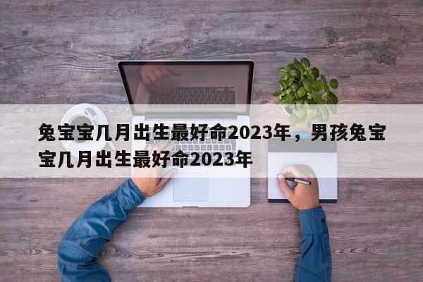 兔宝宝几月出生最好命2023年，男孩兔宝宝几月出生最好命2023年-第1张图片-易算准