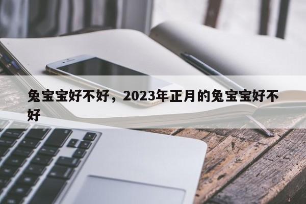 兔宝宝好不好，2023年正月的兔宝宝好不好-第1张图片-易算准