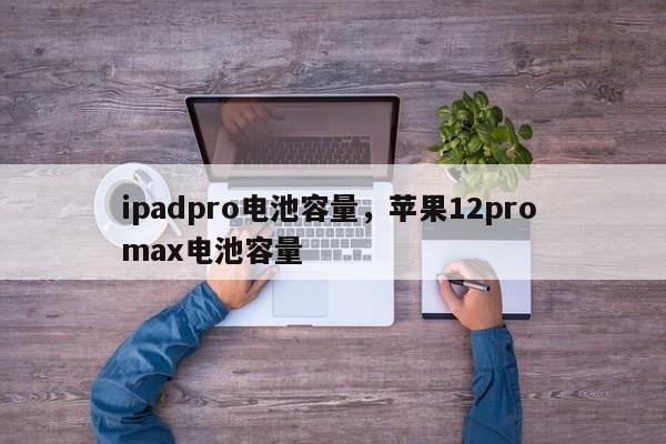 ipadpro电池容量，苹果12pro max电池容量-第1张图片-易算准