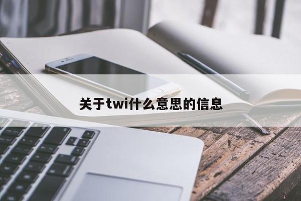 关于twi什么意思的信息-第1张图片-易算准