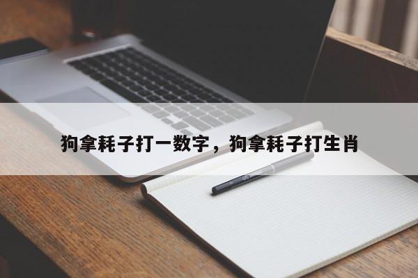 狗拿耗子打一数字，狗拿耗子打生肖-第1张图片-易算准