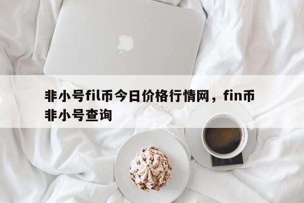 非小号fil币今日价格行情网，fin币 非小号查询-第1张图片-易算准