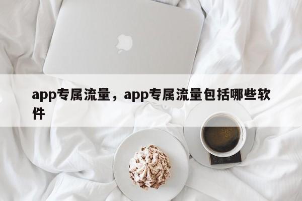 app专属流量，app专属流量包括哪些软件-第1张图片-易算准