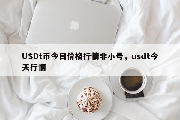 USDt币今日价格行情非小号，usdt今天行情-第1张图片-易算准