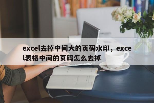 excel去掉中间大的页码水印，excel表格中间的页码怎么去掉-第1张图片-易算准