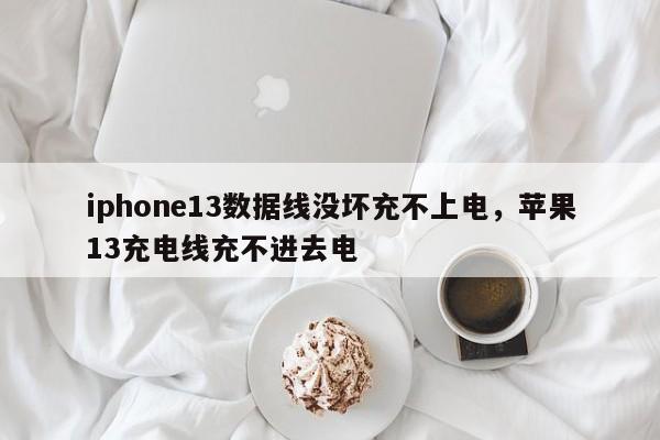 iphone13数据线没坏充不上电，苹果13充电线充不进去电-第1张图片-易算准