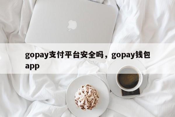 gopay支付平台安全吗，gopay钱包app-第1张图片-易算准