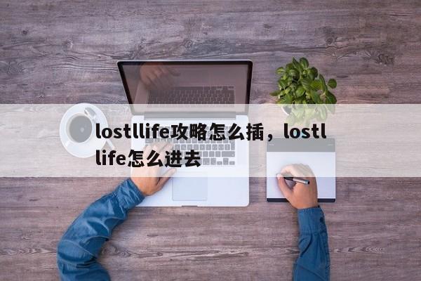 lostllife攻略怎么插，lostllife怎么进去-第1张图片-易算准