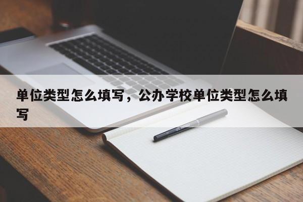 单位类型怎么填写，公办学校单位类型怎么填写-第1张图片-易算准