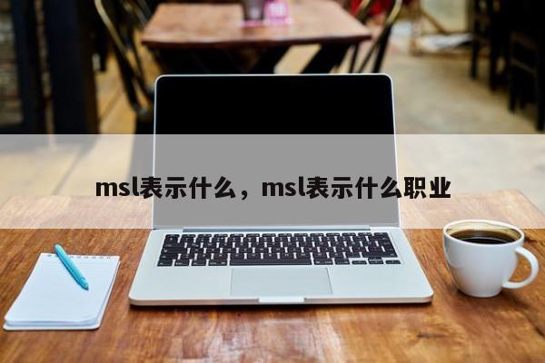 msl表示什么，msl表示什么职业-第1张图片-易算准