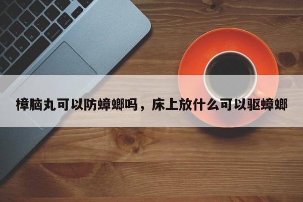 樟脑丸可以防蟑螂吗，床上放什么可以驱蟑螂-第1张图片-易算准