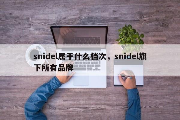 snidel属于什么档次，snidel旗下所有品牌-第1张图片-易算准