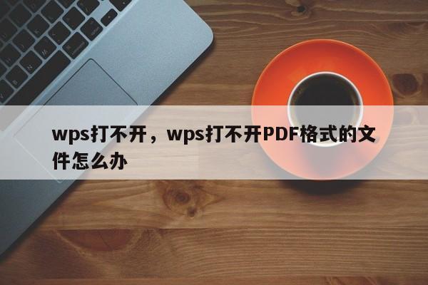 wps打不开，wps打不开PDF格式的文件怎么办-第1张图片-易算准