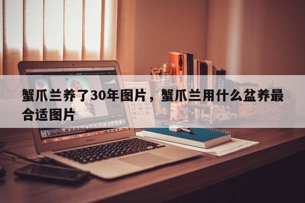 蟹爪兰养了30年图片，蟹爪兰用什么盆养最合适图片-第1张图片-易算准