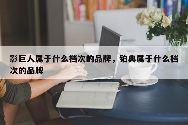 影巨人属于什么档次的品牌，铂典属于什么档次的品牌-第1张图片-易算准