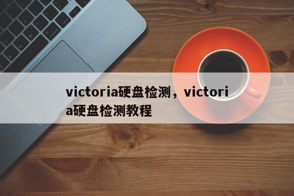 victoria硬盘检测，victoria硬盘检测教程-第1张图片-易算准