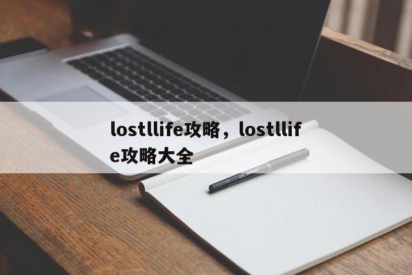 lostllife攻略，lostllife攻略大全-第1张图片-易算准